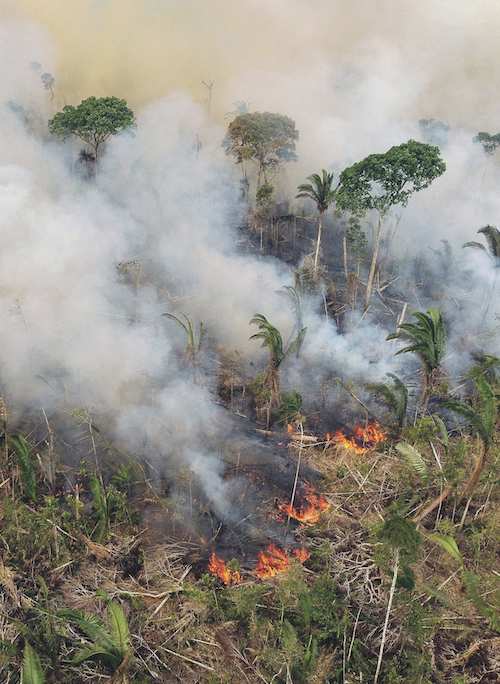 Waldbrand.