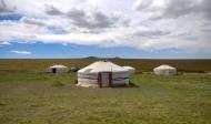 Die Steppe dekolonisieren