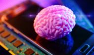 Umkämpfte Gehirne – brauchen wir Neurorechte?