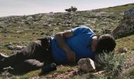 „No Other Land“ – Kino ohne Heimat