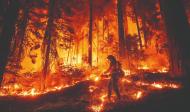 Feuer mit Feuer bekämpfen