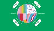 Diagramm der Hoffnung Vier Hoffnungstypen