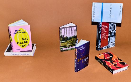 Die Welt unterm Baum