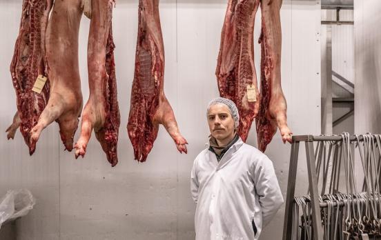 Kann Schlachten human sein?