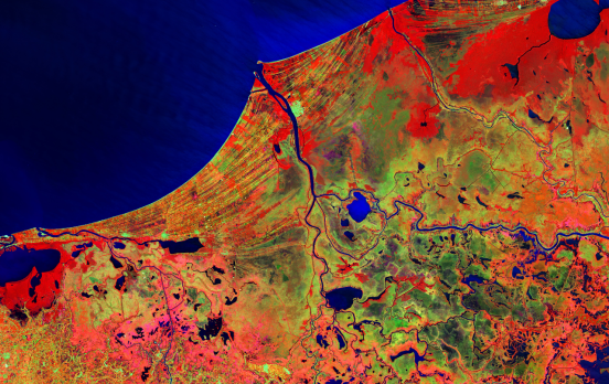 Birgit Schneider: „Die Rottöne sind uns ausgegangen“