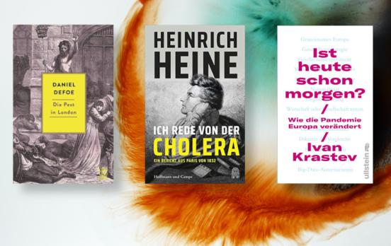 Die Logik der Seuche