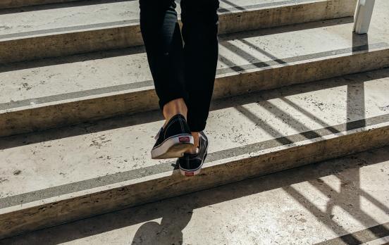 Die Abenteuer der Langsamkeit