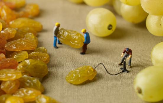 Utopien gehen durch den Magen