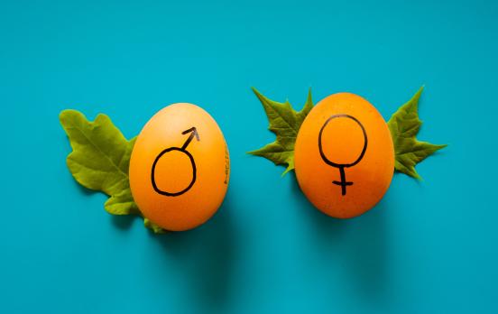 „Genderismus“ als Sündenbock