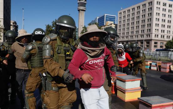 Bienen als Verbündete