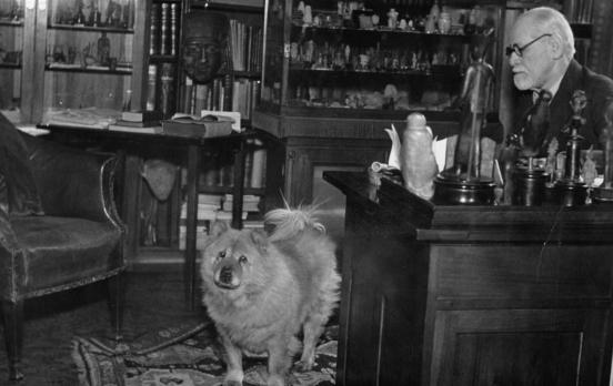 Freuds haariger Helfer