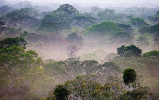 Casarabe-Kultur: Was ist eine „verlorene Zivilisation“? 