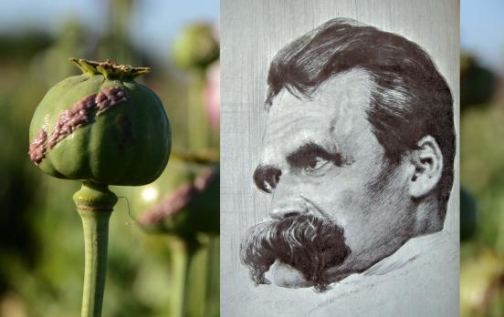 Nietzsche, griechische Götter und das Opium