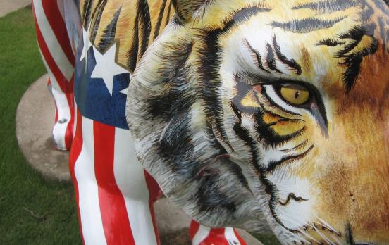 Yascha Mounk: „Ich verstehe den Patriotismus als halbwildes Tier“