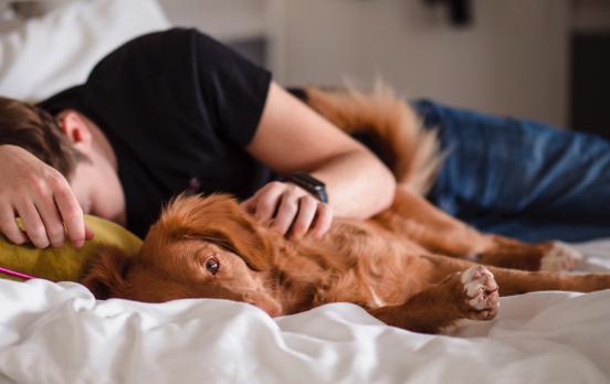 Schlaftourismus in der Müdigkeitsgesellschaft