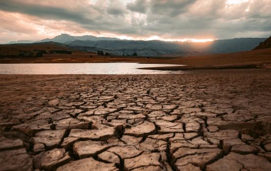 Ökologie des Mangels