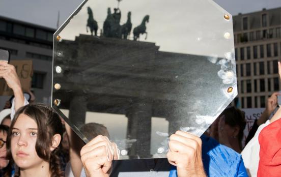 Schafft sich die Demokratie selbst ab, Herr Manow?