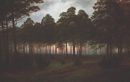 Den Wald betreten
