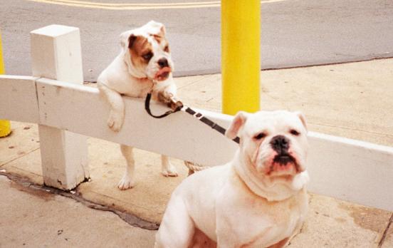 Haben wir einen freien Willen?