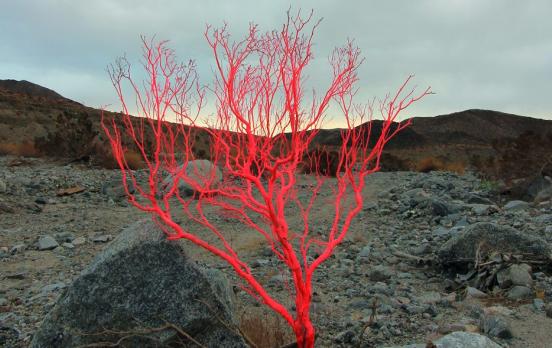Leo Carruthers: „In den Wendungen von Geschichten liegt ein Echo göttlicher Vorsehung“
