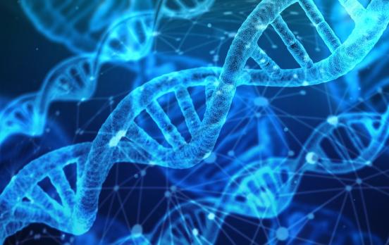 Catherine Malabou: „Wir stehen am Anfang einer biotechnologischen Revolution“