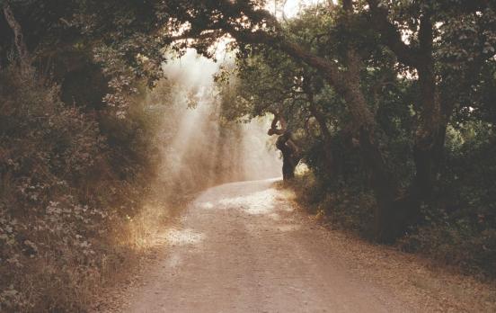 Irène Fernandez: „Prüfungen erlauben uns, ein höheres Sein zu erlangen“