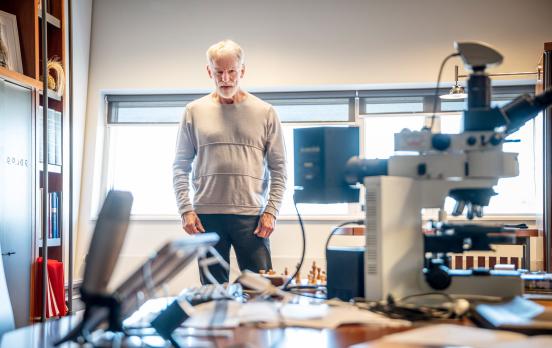 Aufruf zur Eigentlichkeit?