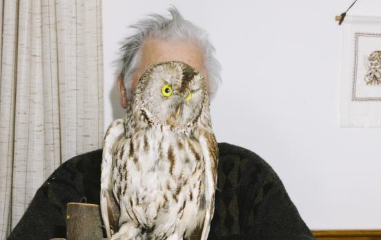 Wie werde ich weise?