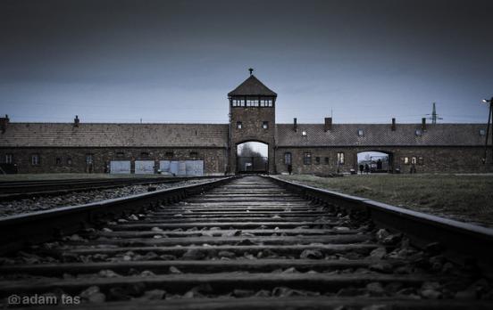 Heimisch bleiben in einer Welt nach Auschwitz
