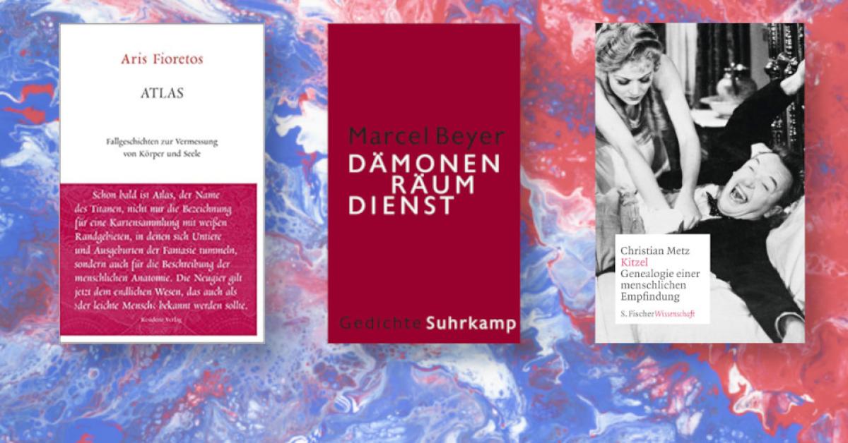 Elementargeister Philosophie Magazin