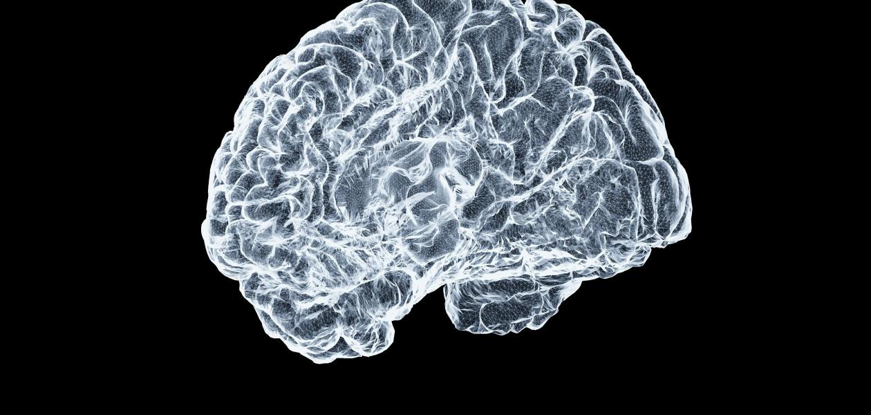 Mazviita Chirimuuta: „Neurowissenschaftliche Modelle müssen mit mehr Vorsicht interpretiert werden“