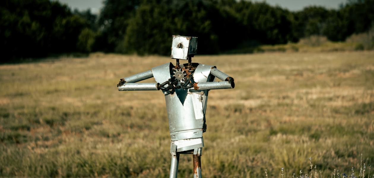 Werden Roboter bald Schmerzen empfinden können?