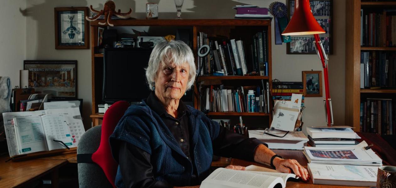 Fiktion und Wirklichkeit