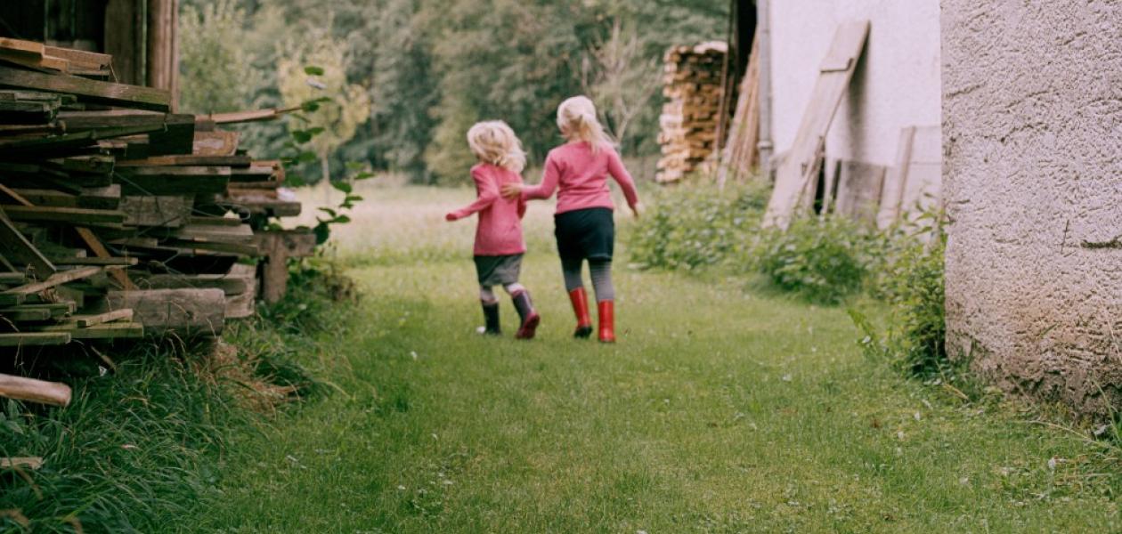 Wohin steuert der Konservatismus?