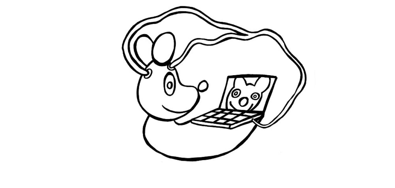 Demokratie für Analphabeten